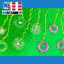 W-F-KREIS_W6-Naehmaschinen-Kreis--und-Blumen--Kreativ-Naehfuss-Spezialfuss_19727_.webp